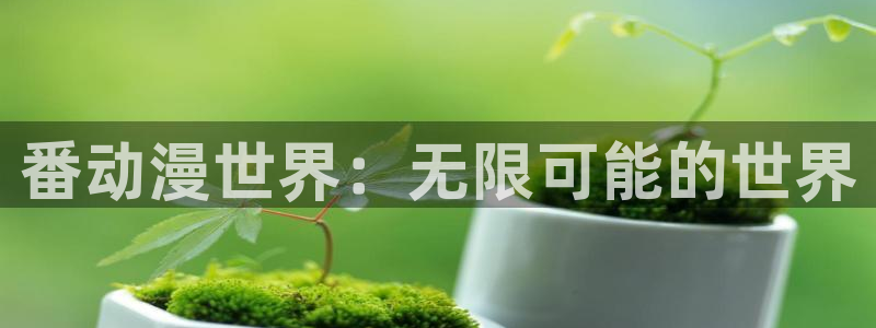 哈哩哈哩在线观看