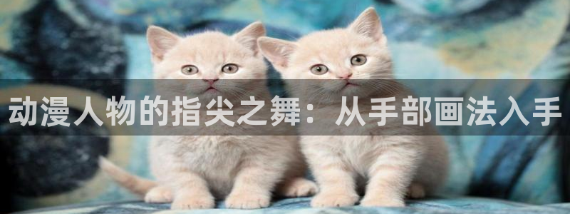 哈哩哈哩 动漫：动漫人物的指尖之舞：从手部画法入手