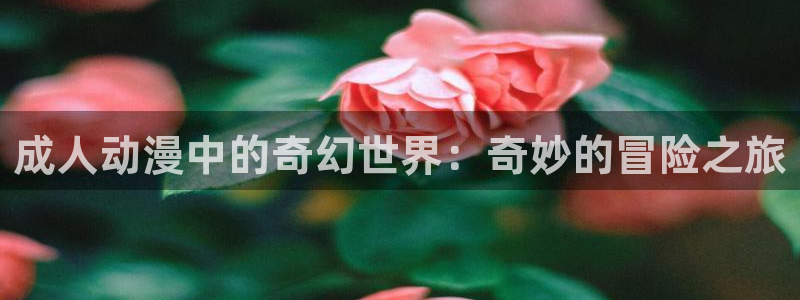 hillhill哈哩哈哩网站