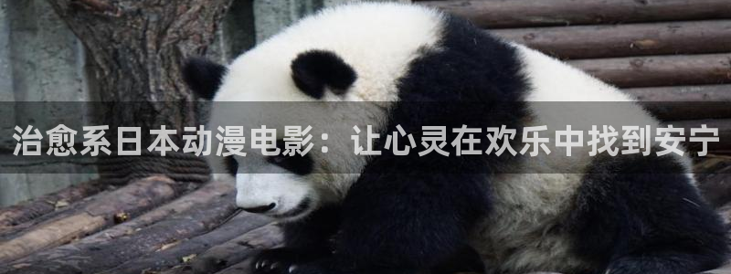哈哩哈哩官网halihali8